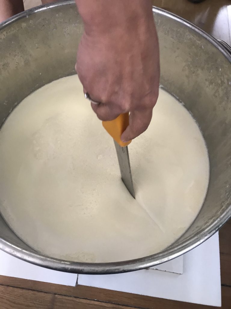 faire son fromage - lait coagulé