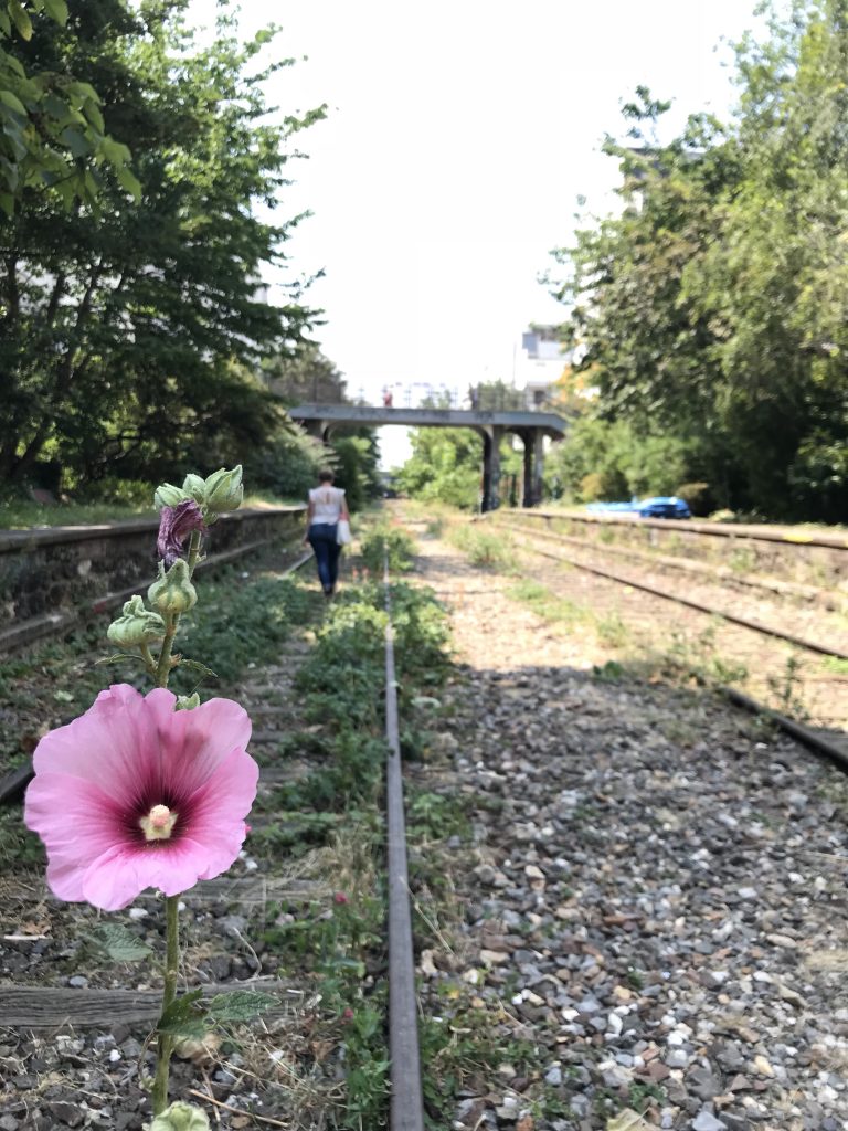 Paris insolite - petite ceinture