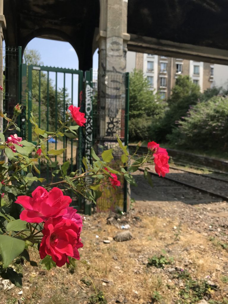 Paris insolite - petite ceinture