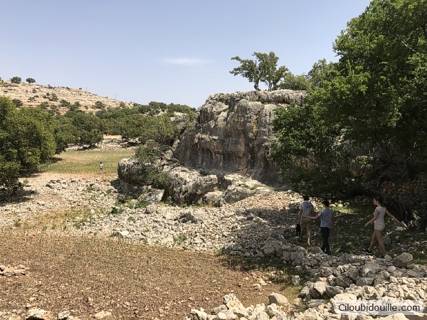 WEB IMG 0631