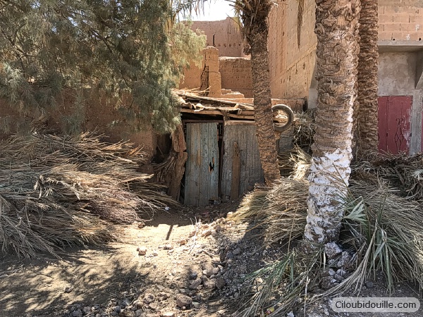 WEB IMG 1056