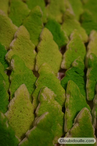 croque-monsieur sapin