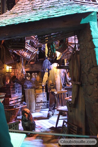 studios harry potter cabane hagrid