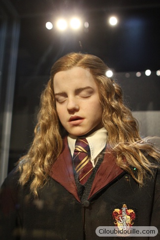 Hermione Granger studios harry potter