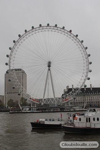 WEB IMG 3703