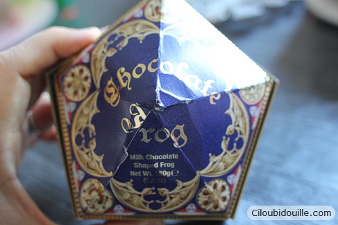 chocogrenouille studios harry potter