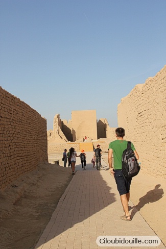 WEB IMG 1303