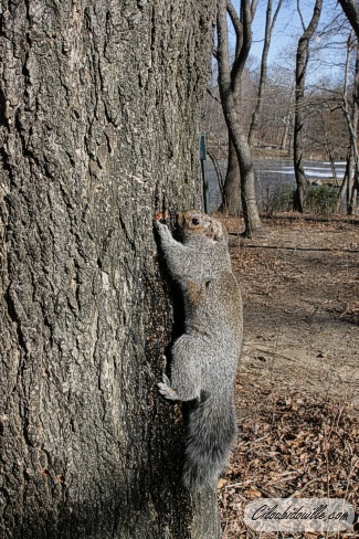 WEB IMG 0109
