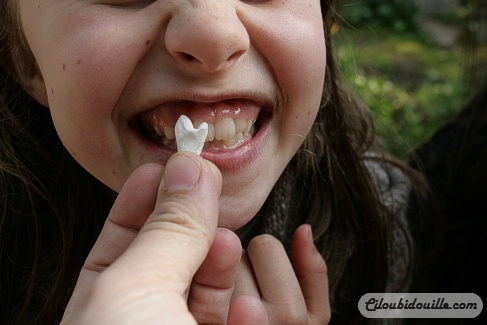 WEB IMG 1185