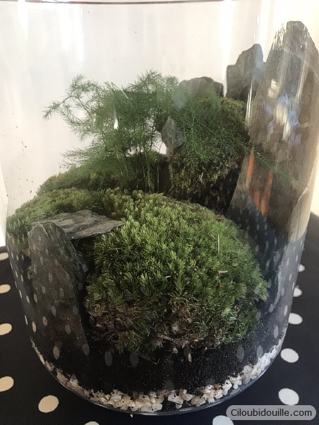 fabriquer un terrarium