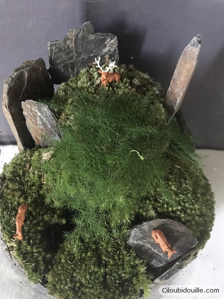 fabriquer un terrarium