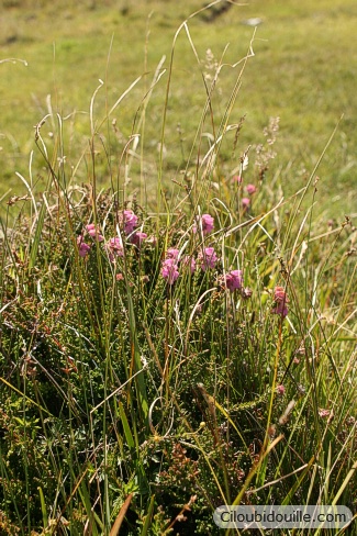 WEB IMG 0116