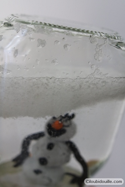 WEB IMG 0240