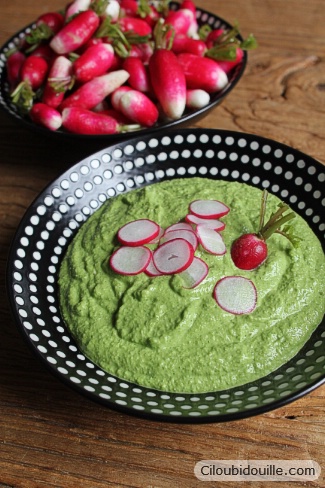 pesto aux fanes de radis