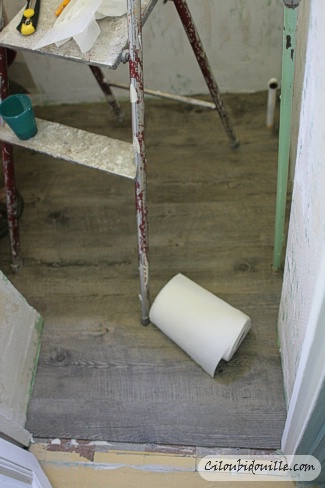 Déco toilettes originales : comment briser le cadre ennuyeux des WC ?