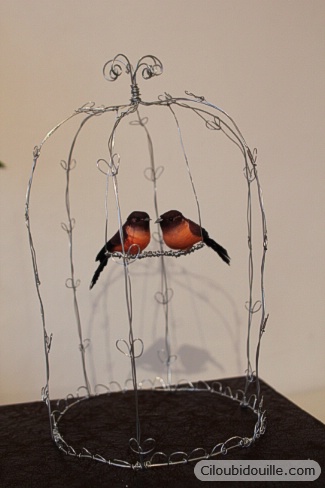 cage à oiseaux en fil de fer