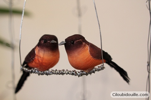 cage à oiseaux en fil de fer