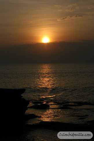 WEB IMG 8944