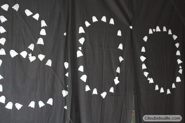 WEB IMG 5007
