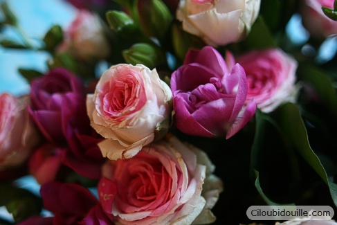 bouquet de fleurs roses