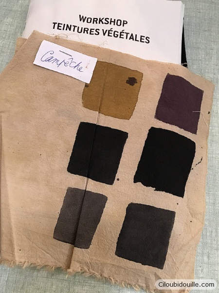Atelier de teinture végétale 1 teinture végétale