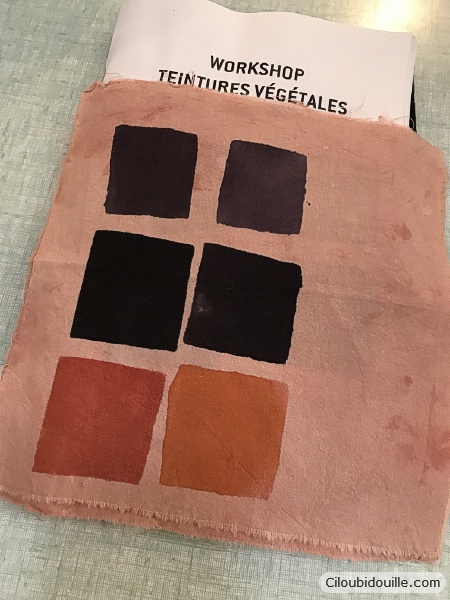Atelier de teinture végétale 2 teinture végétale