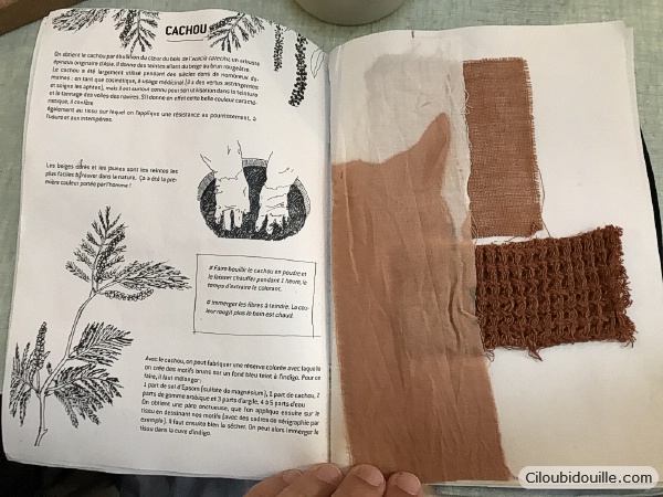 Atelier de teinture végétale 3 Teinture vegetale