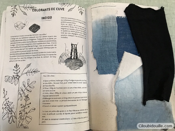 Atelier de teinture végétale 6 teinture végétale