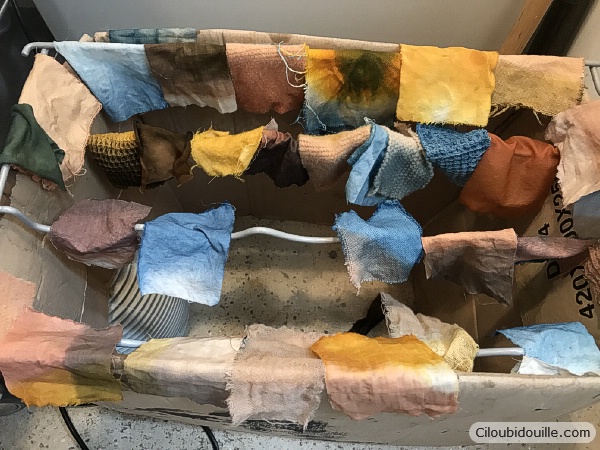 Atelier de teinture végétale 20 teinture végétale