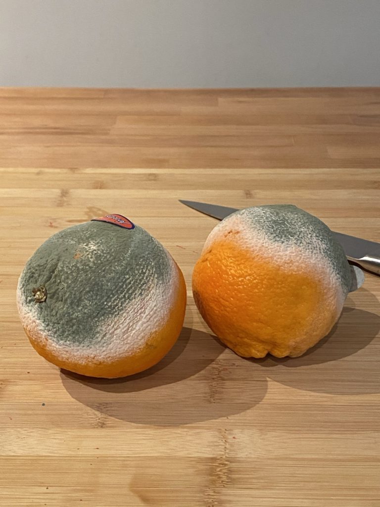 Oranges séchées maison : la recette 1 oranges pourries recyclées