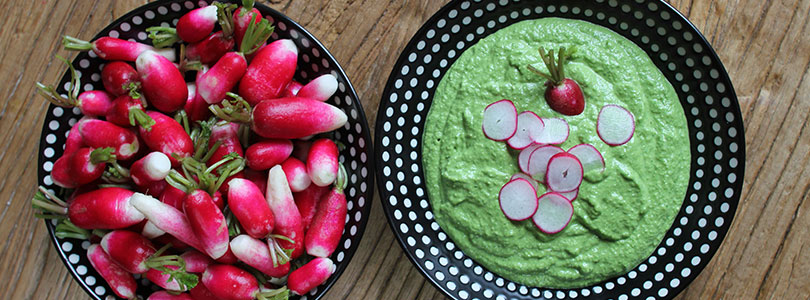 Pesto aux fanes de radis