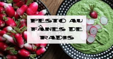 recette de pesto aux fanes de radis