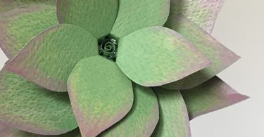 MEA fabriquer une succulente en papier