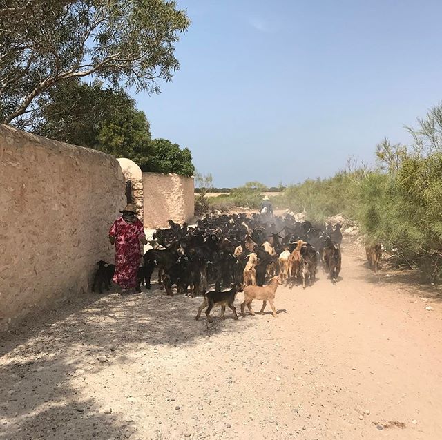 Les bouchons du footing #sidikaouki #essaouira #ciloubidouilleauMaroc
