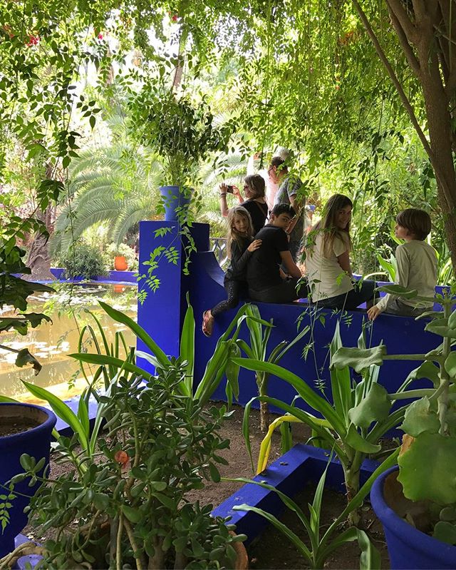 On traque les points d'ombre et les jolies vues. #jardindemajorelle #marrakech #ciloubidouilleauMaroc
