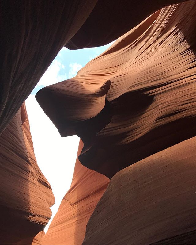 Coucou ! J'ai du réseau à nouveau... je reprends à Antelope canyon où je vous avais laissés :). Nous étions à Lower Antelope (il y a un deuxième site plus petit et étrangement plus touristique). Malgré l'heure matinale, nous étions nombreux à nous être déplacés. Mais l'avantzge de ce site, c'est que tu fais les 3/4 des photos tête en l'air. Tu admires les différences des couleurs de roches et les formes. Ici, c'est le requin de je ne sais plus quel DA ! Vous le voyez ? #antelopecanyon #ciloubidouilleinUSA #lowerantelope