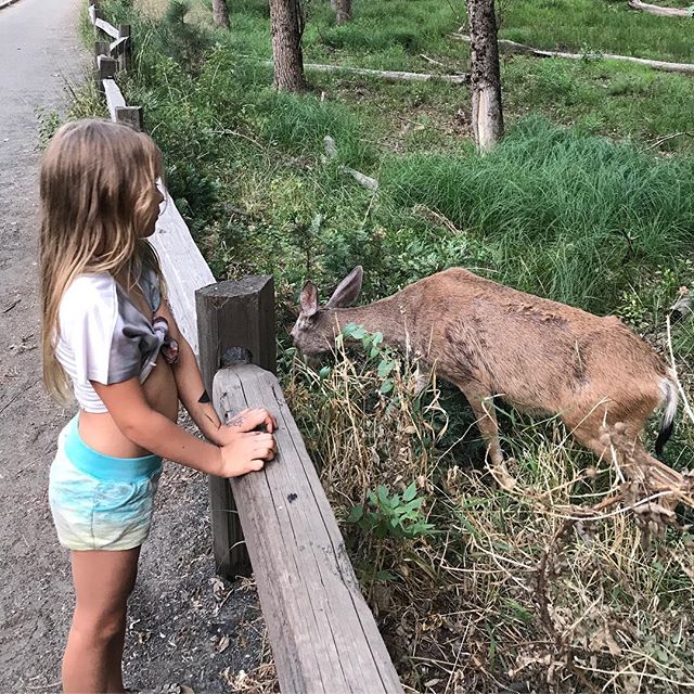 La petite biche, ce sera toi, si tu veux. Le loup, on s'en fiche, contre lui, nous serons deux... #yosemitepark #yosemite #ciloubidouilleinUSA #chansondouce