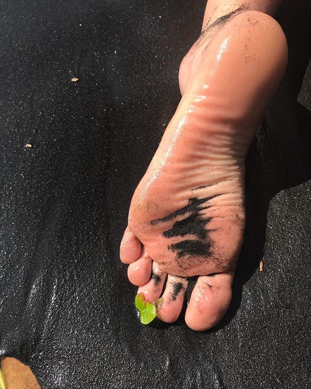 Le sable noir pailletté de l’anse couleuvre, plage à l’extrémité nord de la Martinique #cilouenmartinique