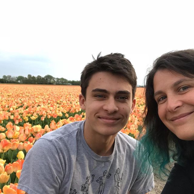 Passer un week-end en Hollande en famille 3 Champs de tulipes oranges