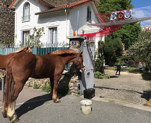 Je pensais être assez badass en organisation de fête mais je reconnais que je n’ai jamais fait venir des chevaux ! (On est super en ville, ça fait étrange de croiser des animaux de ce type dans la rue) #horses #insolite