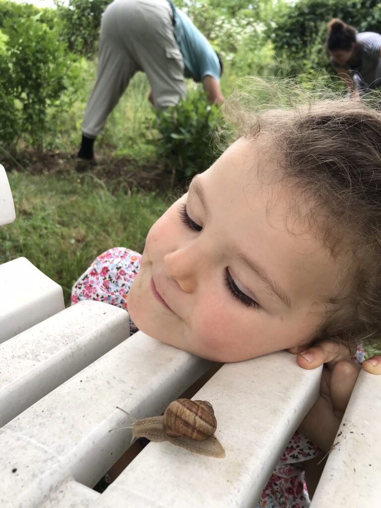 Aventure d'escargots domestiques: Notre expérience inédite 2 IMG 1634