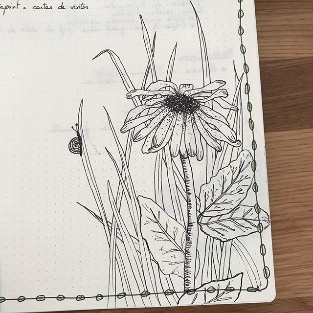 Le petit dessin pour agrémenter mon bujo. Je SAIS que la police minimaliste du bullet journal n’aime pas qu’on rajoute ce genre de fioriture mais moi je prône le chacun fait ce qu’il veut ^^ ! Et puisqu’on voit le mot « carte de visite », je vous pose quelques questions :.1 - quel est le format idéal pour une carte de visite ?.2 - on met du contenu recto verso ?.3 - on les imprime où ? Vous avez des conseils qualité/prix ?.4 - on en imprime combien ? .#ciloubidouilledrawing #ciloudrawings #drawingflowers