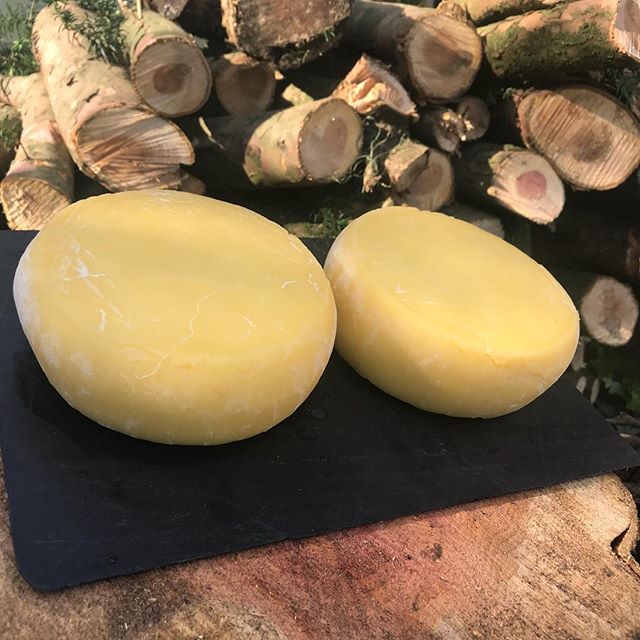 Je vous donne des nouvelles des tommes au lait de vache. Elles maturent gentiment dans ma cave à vin électrique, parce que ma vraie cave est trop chaude (19° au lieu des 14° conseillés). Je les ai sorties pour la photo et hop, elles y retournent pour encore trois/quatre semaines :). Ca sent déjà bon ! #homemadecheese #tommedesavoie #fromagemaison #cestmoiquilaifait #maviecreative