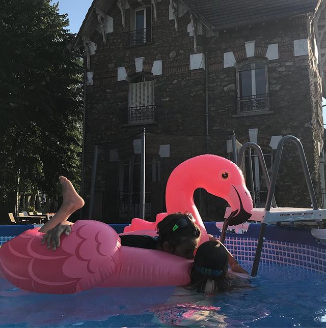Finalement, en animal de compagnie, on a suivi la tendance 2016, on a pris un flamant rose... #lebonheurestenbanlieue #piscine