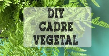 Tuto cadre vegetal