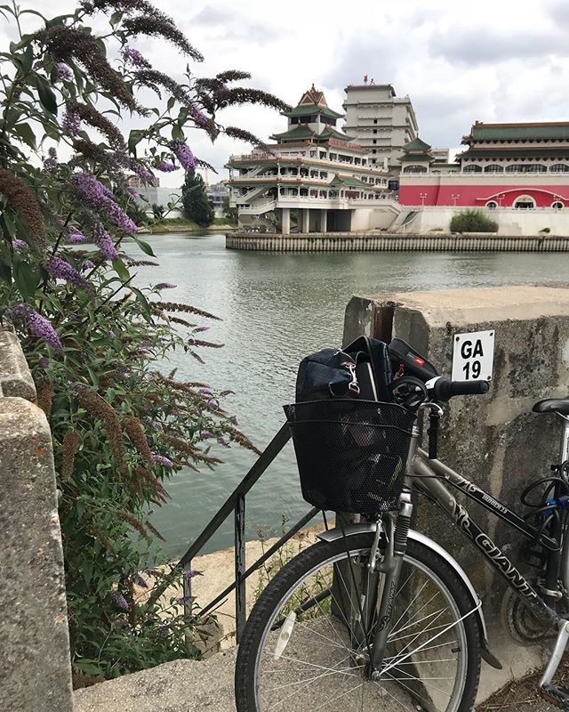 pause nature : pique nique devant la seine