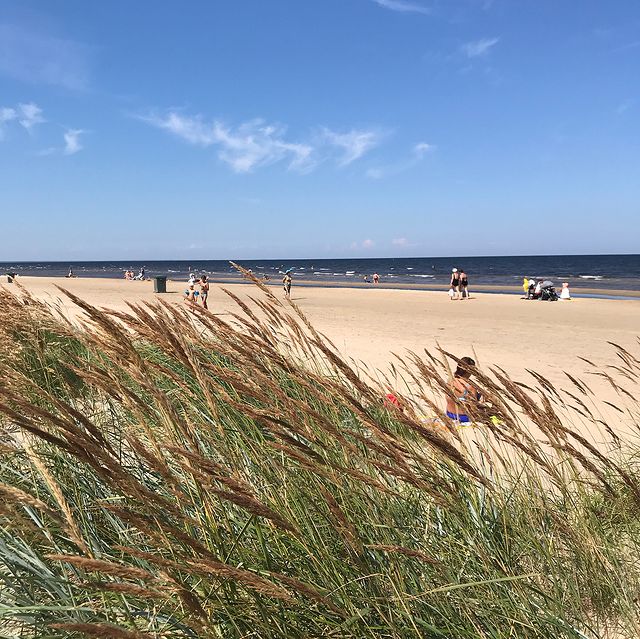 Vacances en Lettonie, un voyage pas si dépaysant 29 36934878 1771976489559035 2307153635663937536 n 1