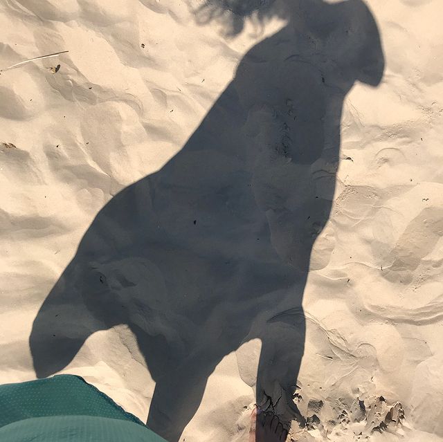 Vacances en Lettonie, un voyage pas si dépaysant 26 37677149 1700398993410406 1326853691386363904 n