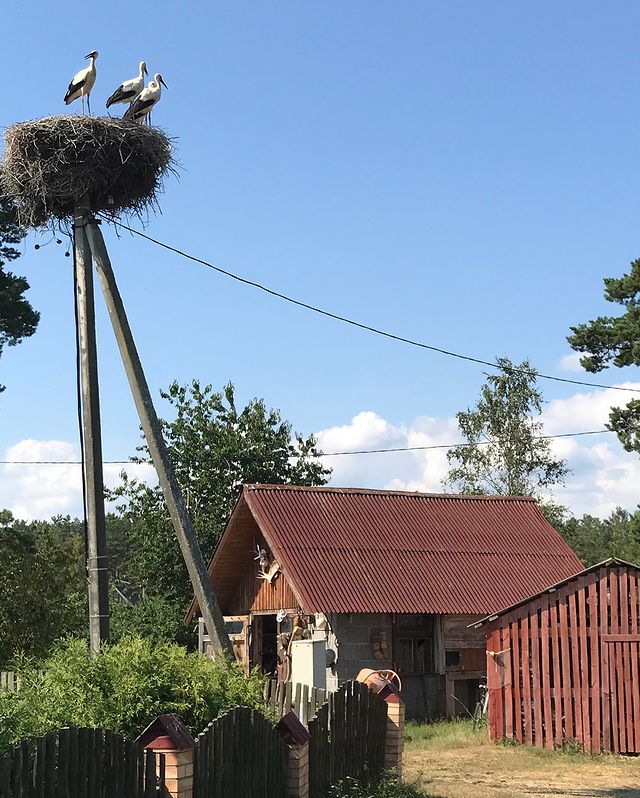 Vacances en Lettonie, un voyage pas si dépaysant 47 Post n10 6