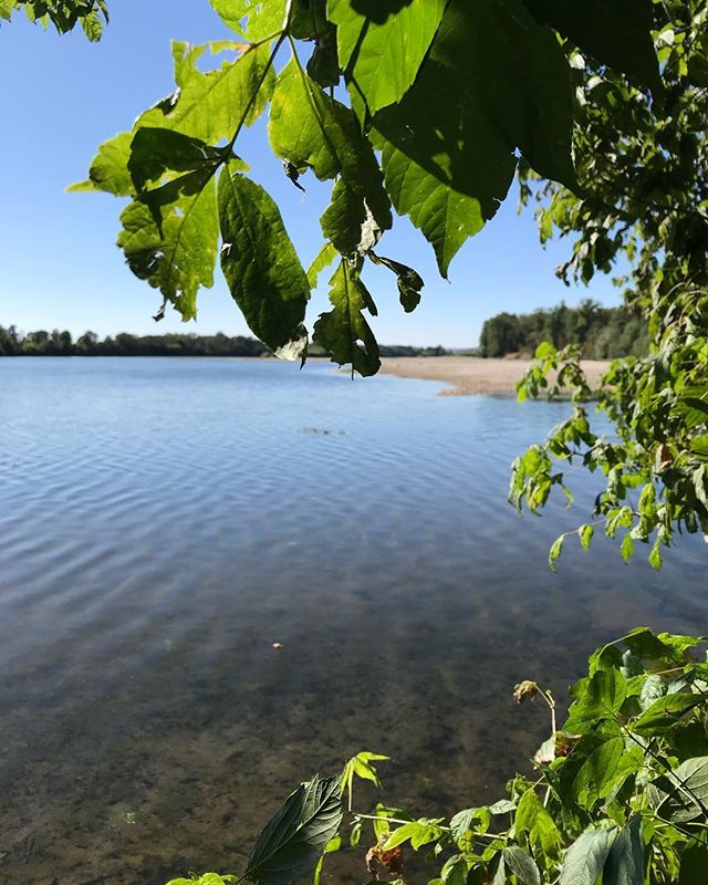 Aller retour pour filer un coup de main à mes parents qui retapent un chalet sur les bords de Loire. Pour moi, ce coin, ce sont les aventures de mon enfance. On partait avec les cousins, pour explorer les îles, pêcher, se baigner... c’était plus que rustique, mais on aimait bien.